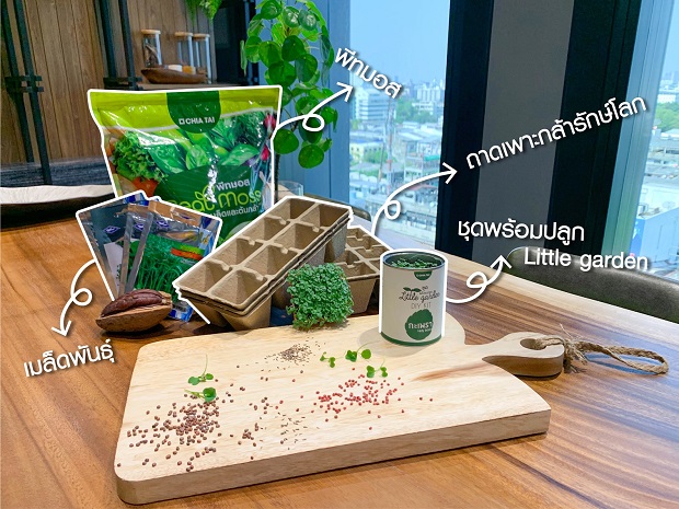 ชุดปลูกผักอยู่บ้านปลอดภัย-Farm-From-Home-จากเจียไต๋-โฮมการ์เด้น-3.jpg