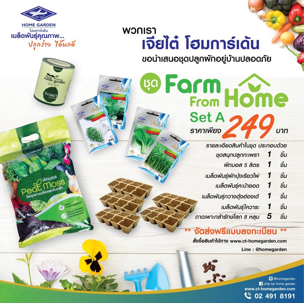 ชุดปลูกผักอยู่บ้านปลอดภัย-Farm-From-Home-จากเจียไต๋-โฮมการ์เด้น-4-1-1024x1021.jpg