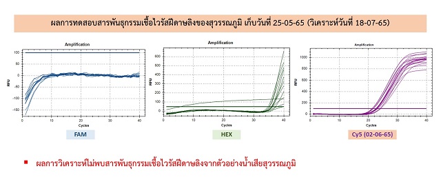 ผลการทดสอบสารพันธุกรรมเชื้อไวรัสฝีดาษลิ.jpg