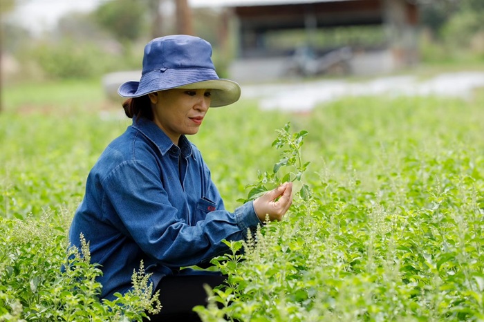 ภาพประกอบข่าว_ซีพีแรม_8.jpg