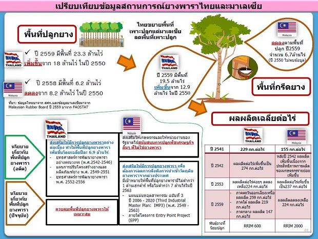 สถานการณ์ยางไทย-มาเลเซีย.jpg
