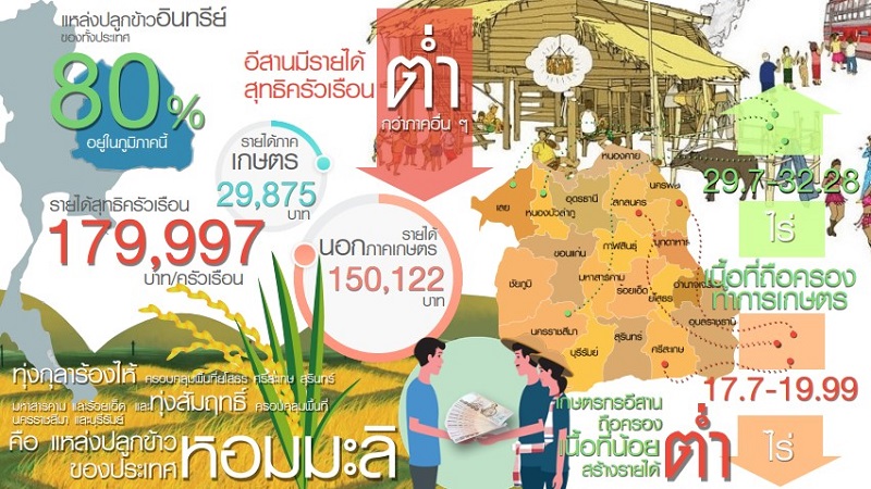แหล่งปลูกข้าว.jpg