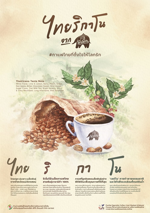 ไทยริกาโน-Poster-Copy.jpg