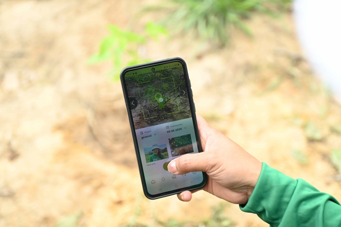 03_GrabForGood-Forest.jpg