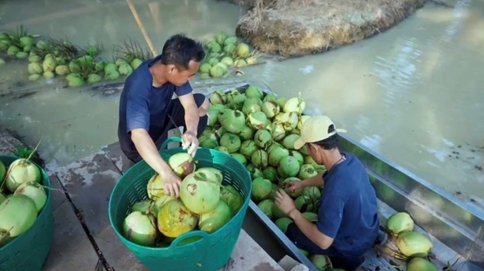 04-มาลี.jpg