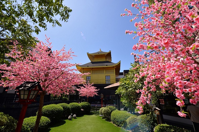 07_J-Park.jpg