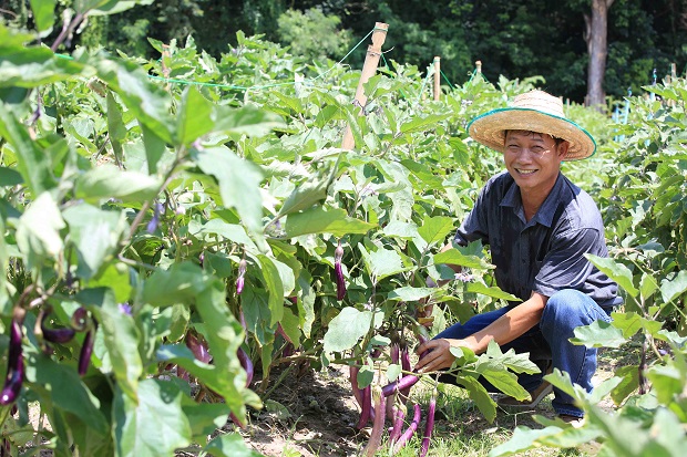 10.-วิสาหกิจชุมชนฟาร์มผักอินทรีย์อุดรธานี.jpg
