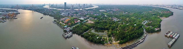 25640204_PressRelease_ภาพคุ้งบางกะเจ้า.jpg
