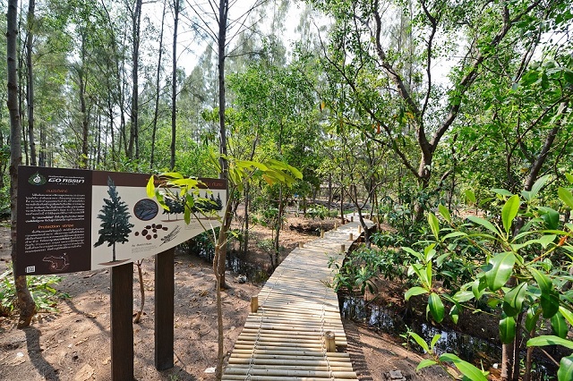 25640204_PressRelease_OUR-Khung-BangKachao-การพัฒนาพื้นที่สีเขียว-4.jpg