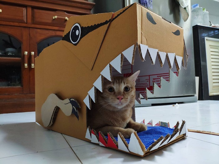 4_วันกอดแมวโลกกับเหตุผลทำไมแมวชอบเล่นกล่องไปรษณีย์.jpg