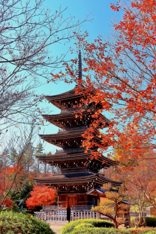 4.Jogi-Nyorai-Saihoji-Temple_resize.jpg