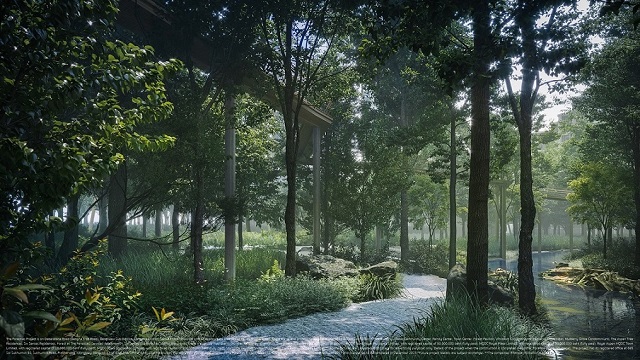 5-The-Forestias-Walkway-in-forest.jpg