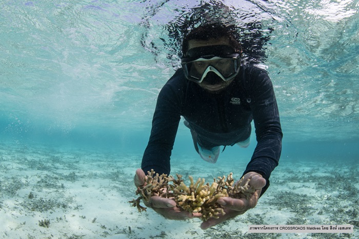 7_S_UN-Ocean-Decade-WESTPAC_0.jpg