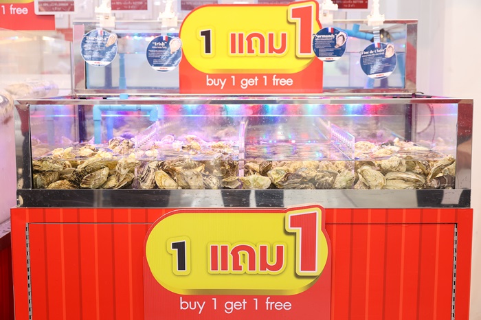 8_1.jpg