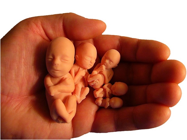 abortion.jpg