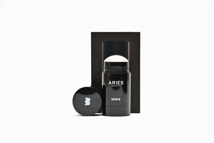 ARIES-2.jpg