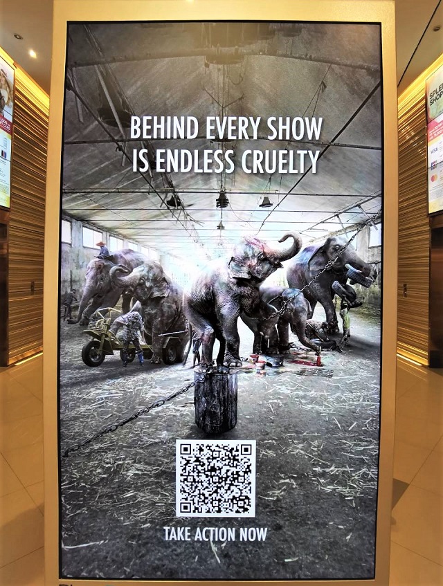 Behind-the-show-3.jpg
