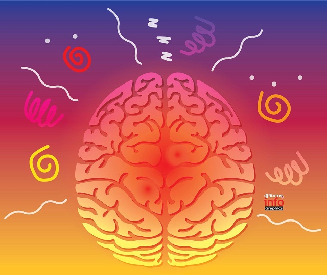 brain.jpg
