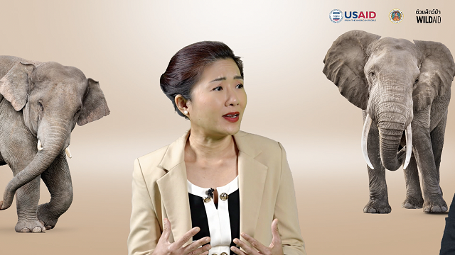 Dr.-Suphasuk_USAID-Representative.png