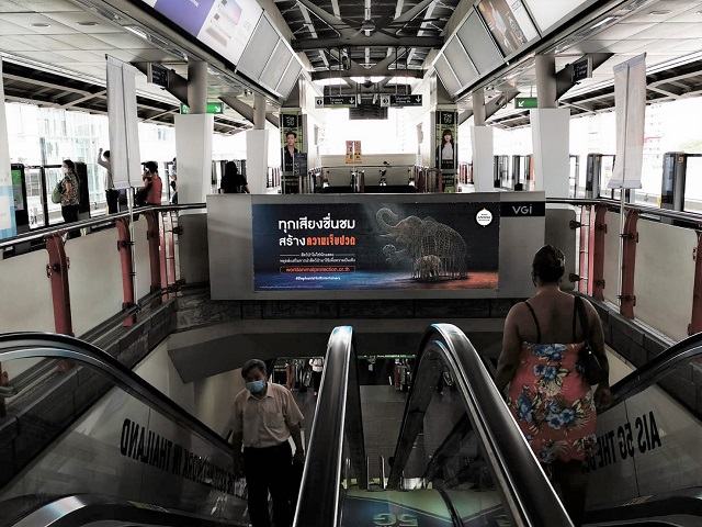 Elephant-Day-Ad_Place2.jpeg