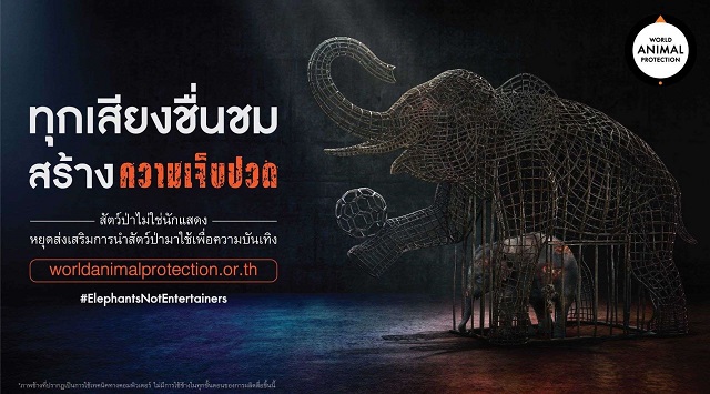 Elephant-Day-Ad1.jpg
