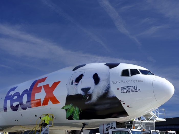 FedEx_panda-1.jpg