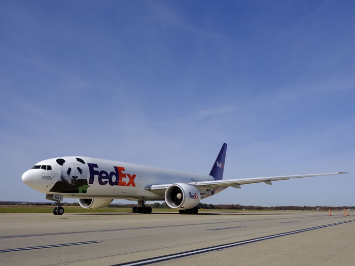 FedEx_panda-5.jpg