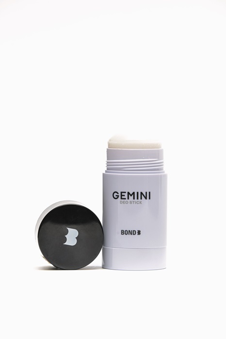GEMINI-1.jpg