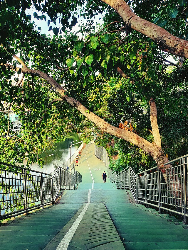 greenbridge_01.jpg