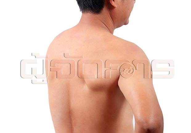 import-1226.jpg