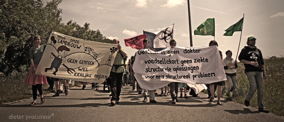 import-25.jpg