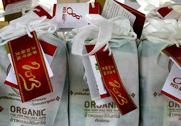import-281.jpg