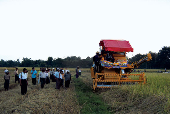import-62.jpg