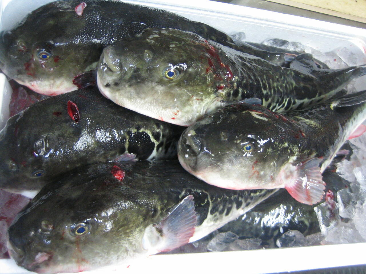 import-899.jpg