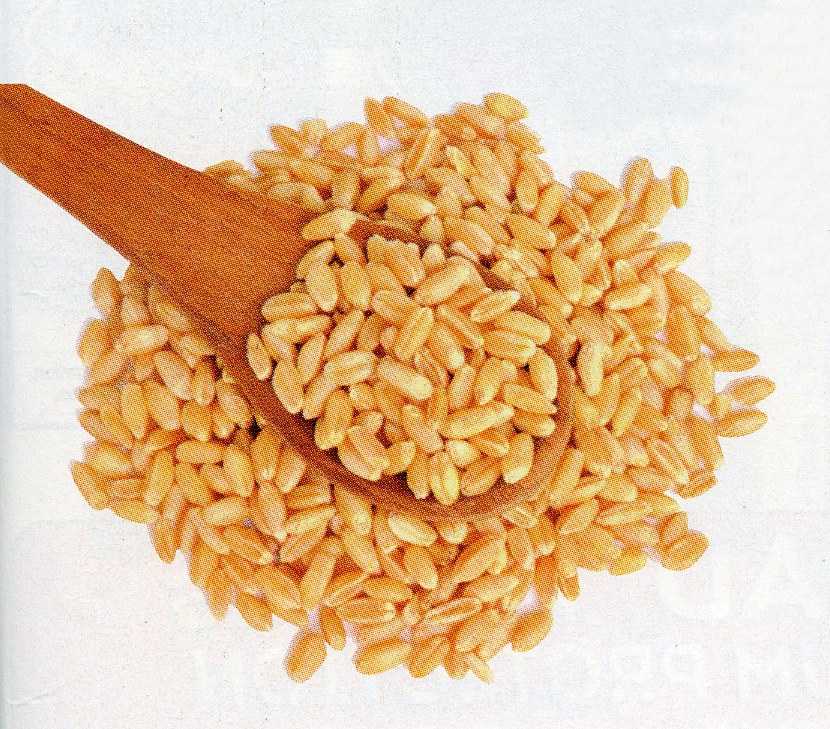 import-943.jpg