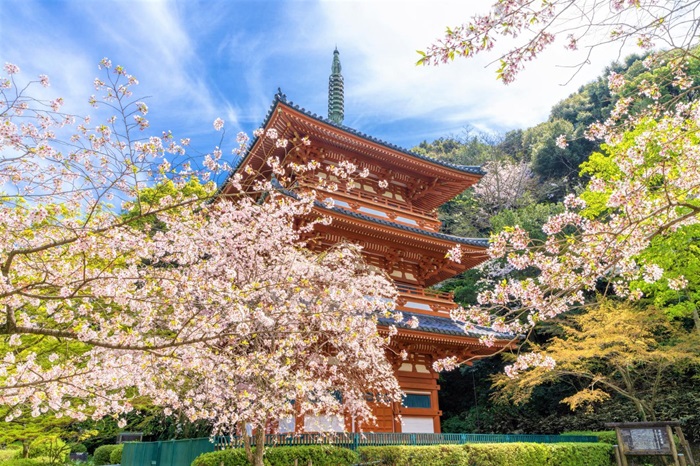 Kiyomize-Temple-_-เจดีย์-3-ชั้นอายุมากกว่า-1200-ปี.jpg