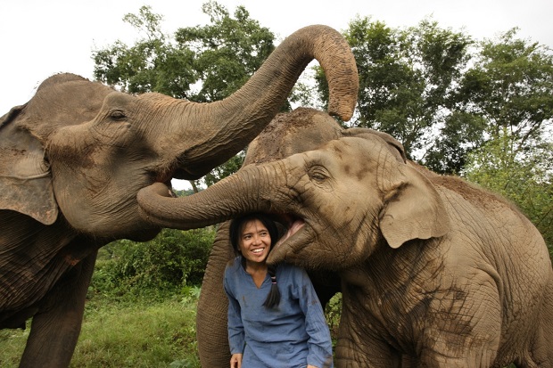 Lazada-supports-Elephant-Nature-Park-3.jpg