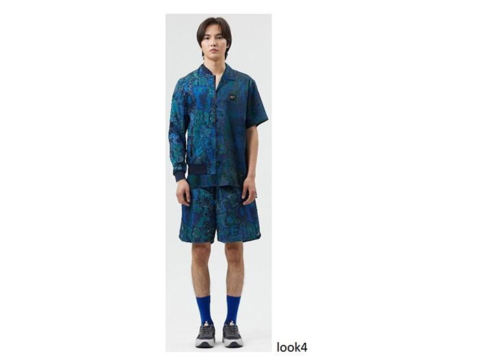look4.jpg