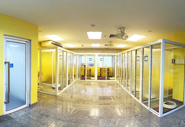 Medical-Cat-Hotel_01.jpg
