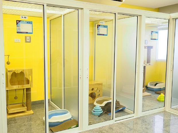 Medical-Cat-Hotel_02.jpg