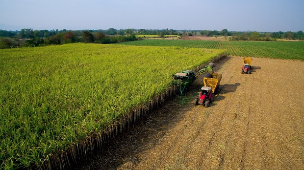 Mitr-Phol-Modern-Farm-1.jpg