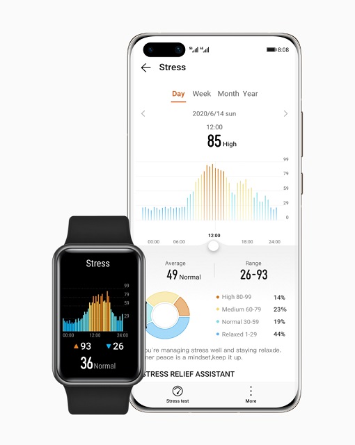 Must-have-smartwatch-this-summer_5-stress-tracking.jpg