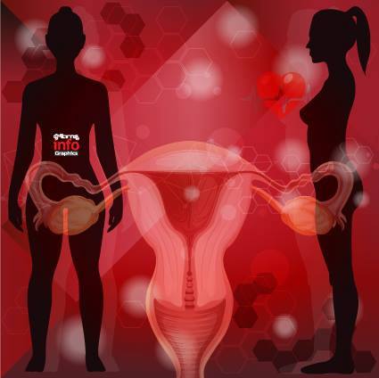 ovaries.jpg