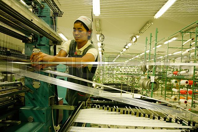 p12-daily-adaptation-goto.jpg