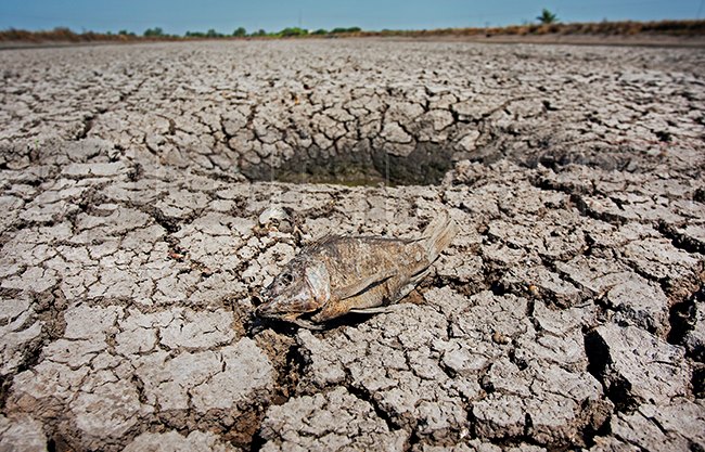 p12-daily-drought.jpg
