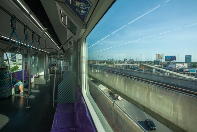 p12-daily-purpleline.jpg
