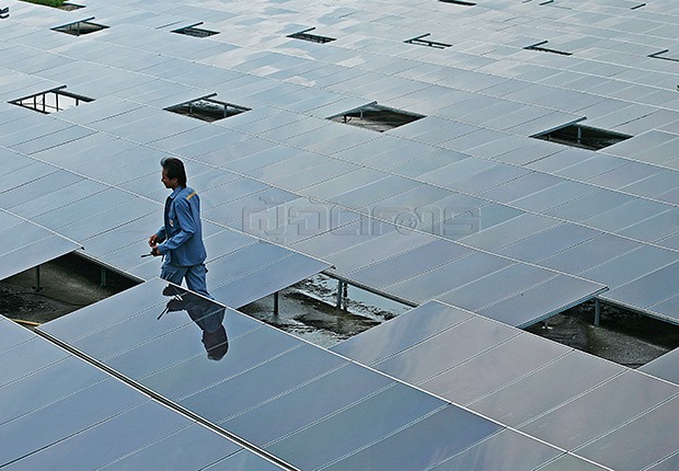 p12-daily-renewable.jpg