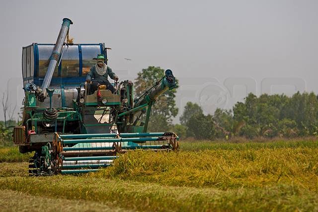 p20-21-weekly-agrofarm-goto.jpg