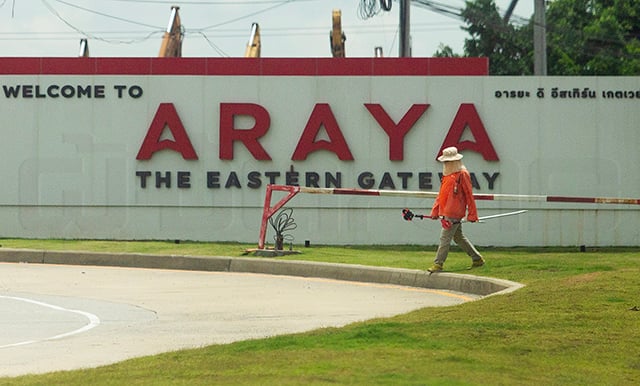 p20-21-weekly-araya-01.jpg