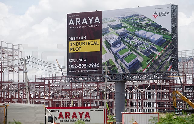 p20-21-weekly-araya-04.jpg